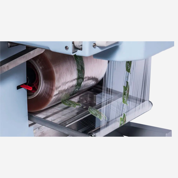Envasadora de film extensible Elixa 21 detalle